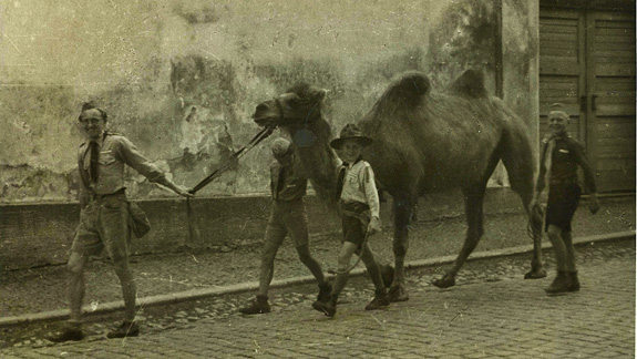 V ervnu roku 1945 krela velbloudice Pepita v doprovodu skaut z Vysoiny do Prahy.